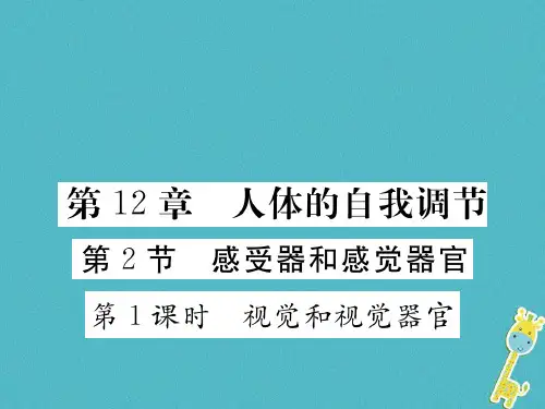 七年级生物下册第12章第2节感受器和感觉器官第1课时视觉和视觉器官课件新版北师大版