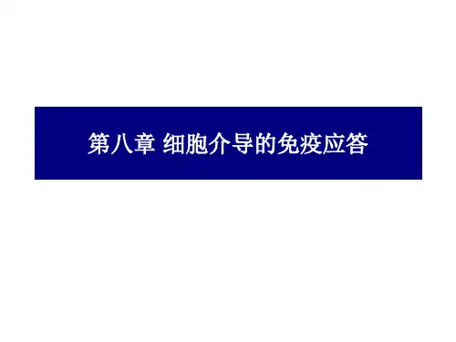 八细胞介导的免疫应答