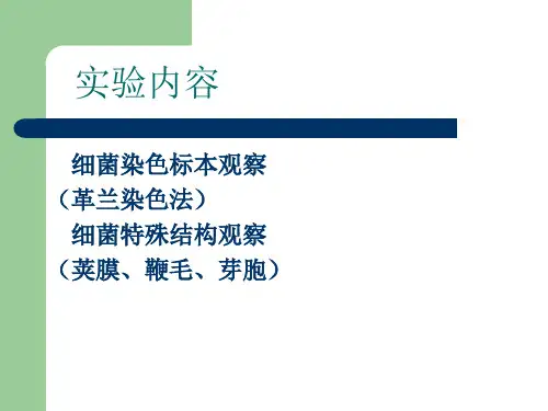 医学微生物学实验    革兰染色+特殊结构