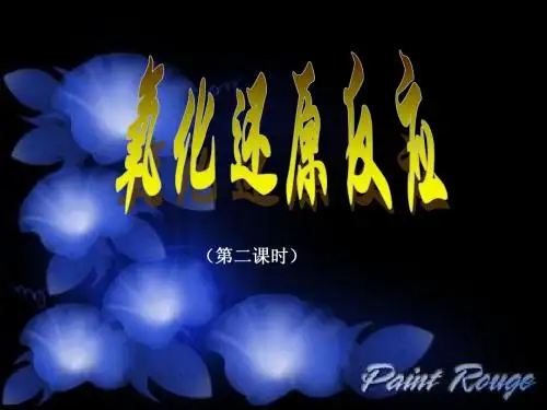 第三节 氧化还原反应3