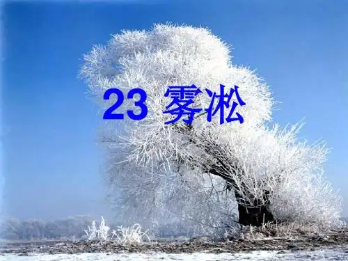 23雾凇_PPT