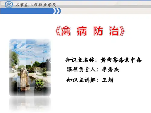 14黄曲霉毒素中毒症
