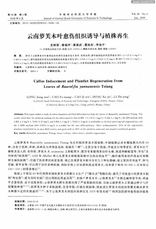 云南萝芙木叶愈伤组织诱导与植株再生