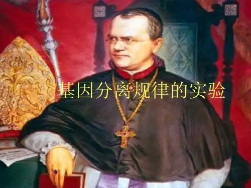 分离规律试验