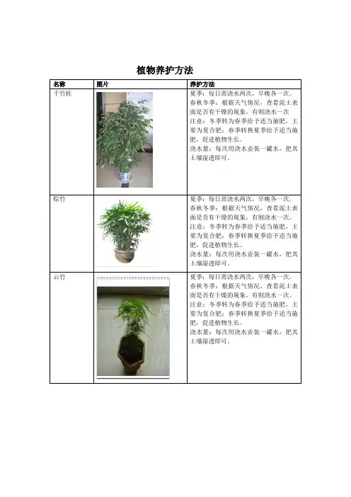 植物养护方法