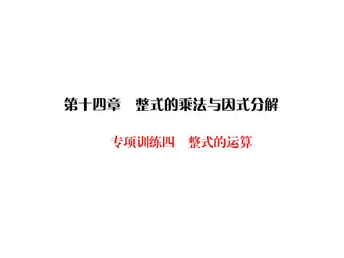 人教版八年级上册数学同步练习课件-第14章-专项训练4整式的运算