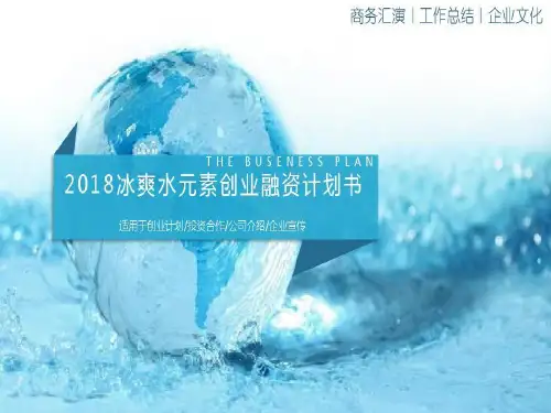 电商途虎养车商业计划书共37页
