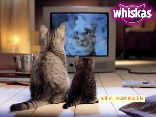 人教新目标七年级下册unit5 I′m watching TV 课件03