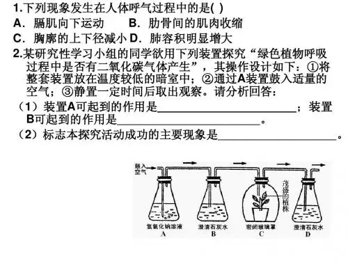光合作用1