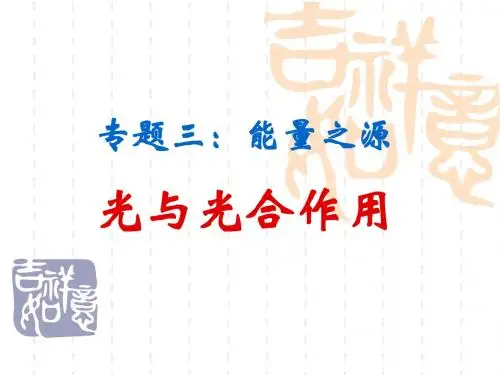 专题三:光合作用