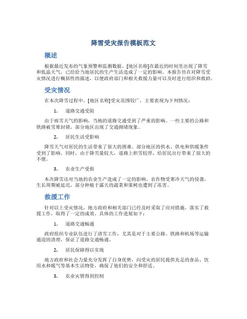 降雪受灾报告模板范文