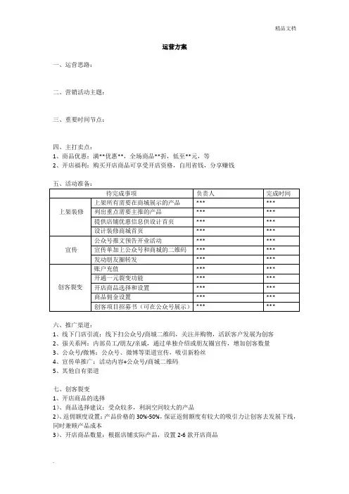 运营方案模板 2