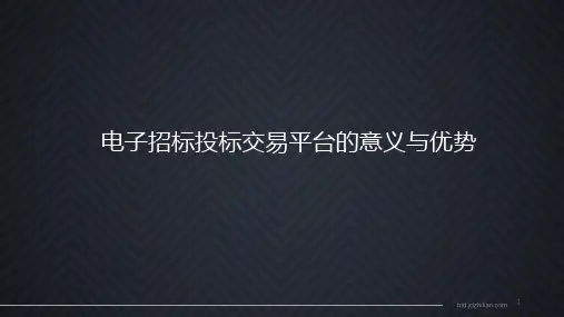 全流程电子招投标的优势与意义ppt课件