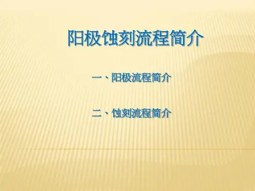 阳极蚀刻流程简介共40页文档