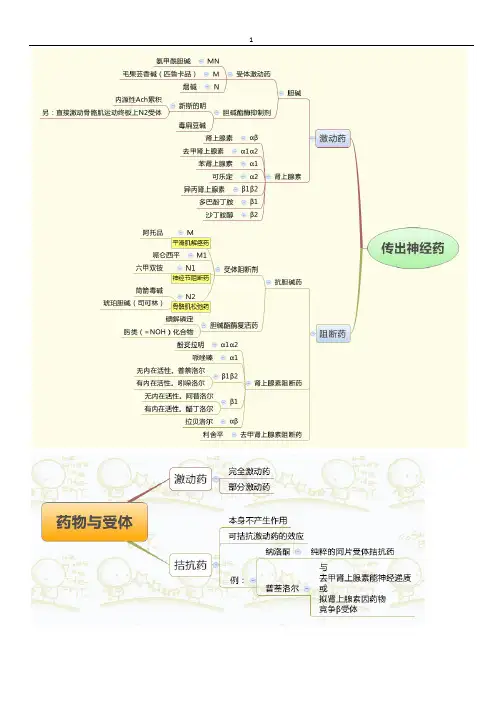 药理学思维导图