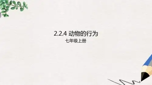 【推荐】精选七年级生物上册2.2.4动物的行为课件新版济南版
