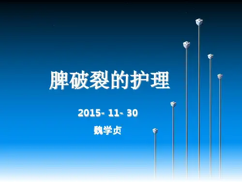 脾破裂的护理知识学习ppt