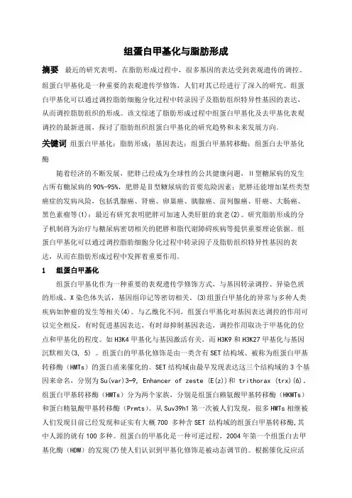组蛋白甲基化与脂肪生成