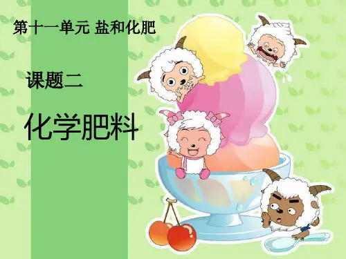 【人教版】九年级化学下册:第11单元 课题2《化学肥料》教学课件(共20张PPT)