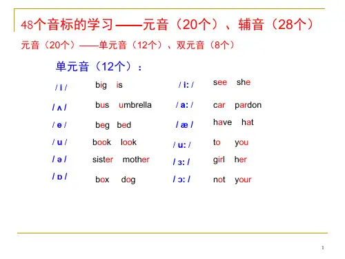 七年级(上)48个音标PPT课件