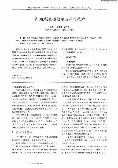 早、晚稻直播效果及栽培技术