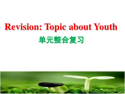 牛津译林英语中考单元整合复习 Topic about Youth (共22张PPT)