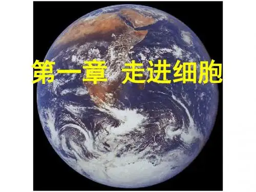 高一生物从生物圈到细胞