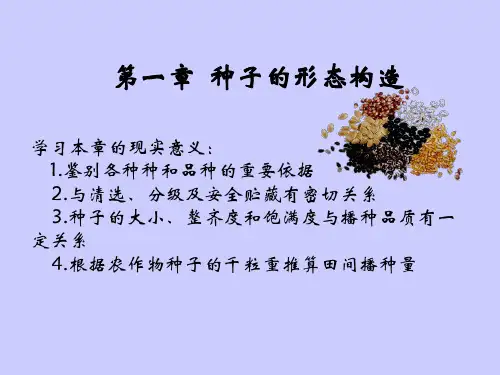 (种子学课件)第一章种子的形态构造
