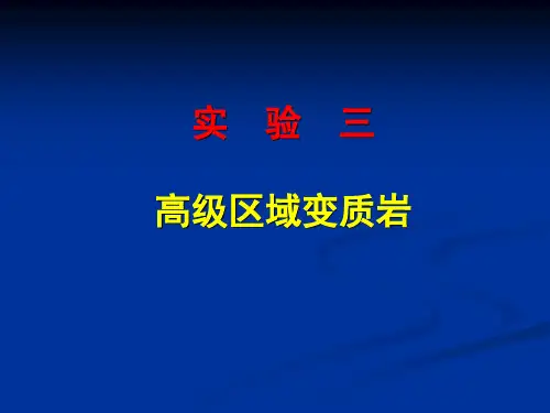 实验三 区域变质岩