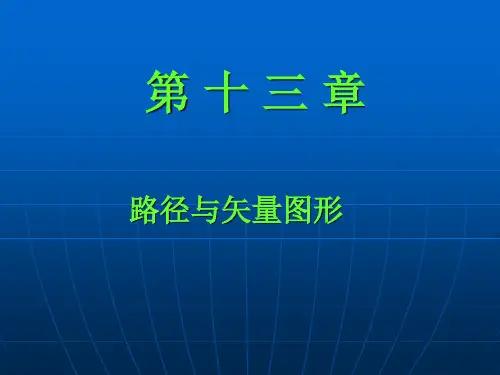 ps13不规则路径