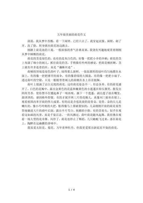 五年级美丽的荷花作文
