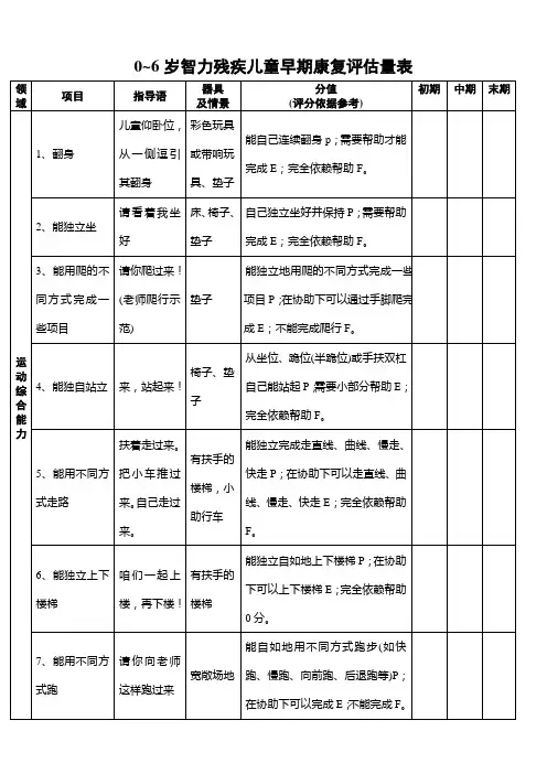 0~6岁智力残疾儿童早期康复评量手册
