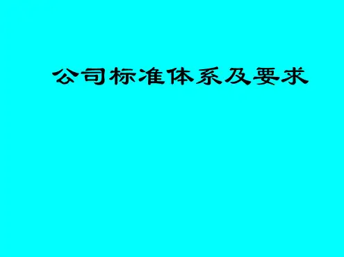 公司标准化体系及要求