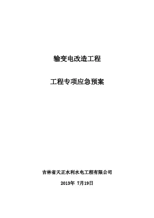 专项应急预案