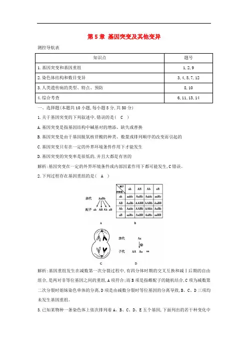 江苏省启东市高中生物 第5章 基因突变及其他变异检测试题 新人教版必修2