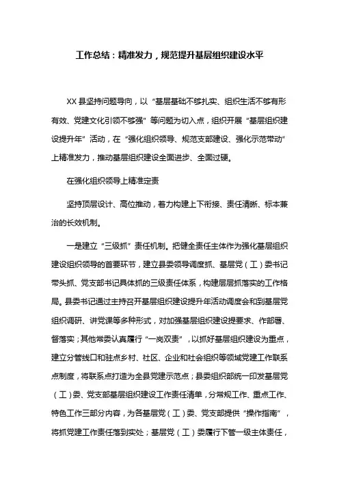 工作总结：精准发力,规范提升基层组织建设水平