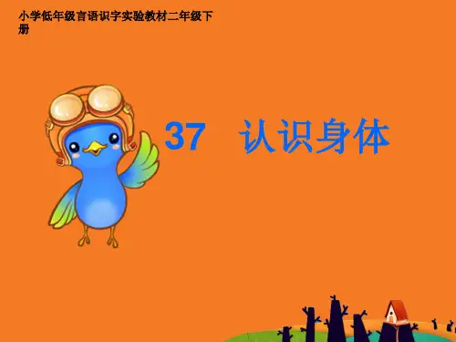 认识身体识汉字