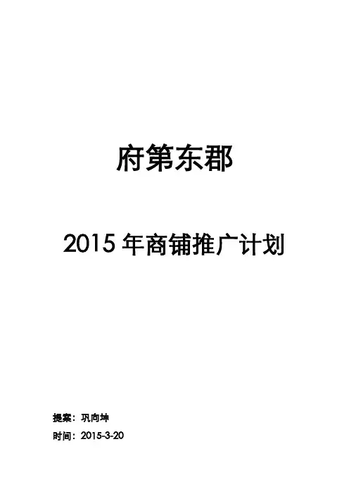 天利国际商铺销售推广方案