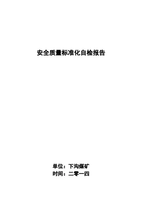 煤矿质量标准化自评报告