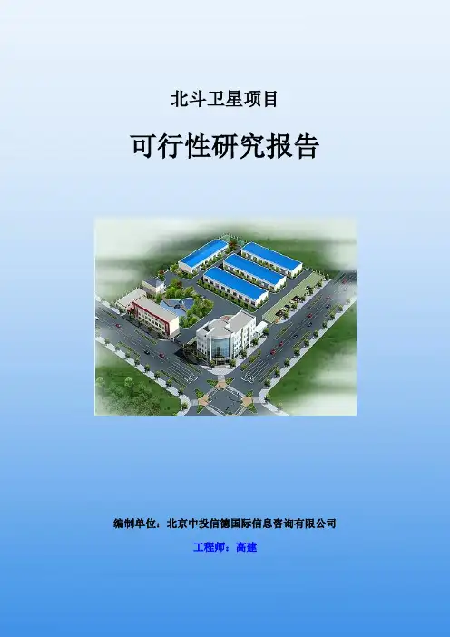 北斗卫星项目可行性研究报告-中投信德