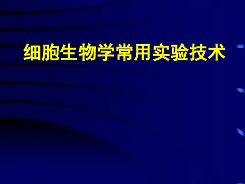 细胞生物学常用技术1只是分享