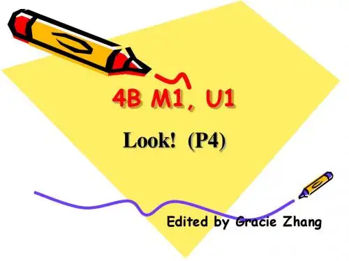 上海牛津英语4bM1U1P2