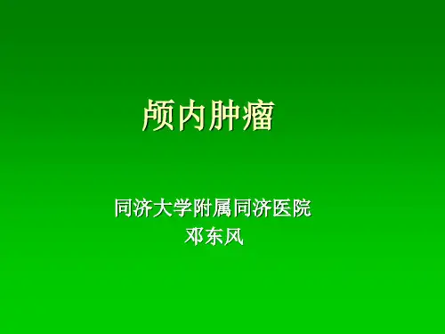 颅内肿瘤