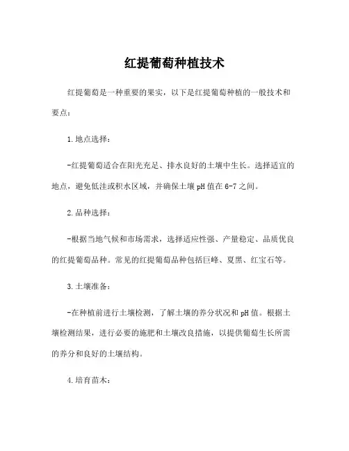红提葡萄种植技术