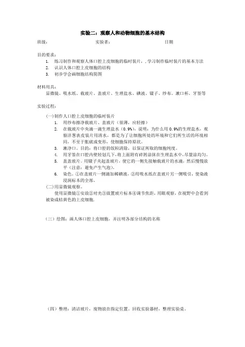 初一生物实验报告