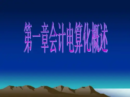 第1章会计电算化理论基础 电算化