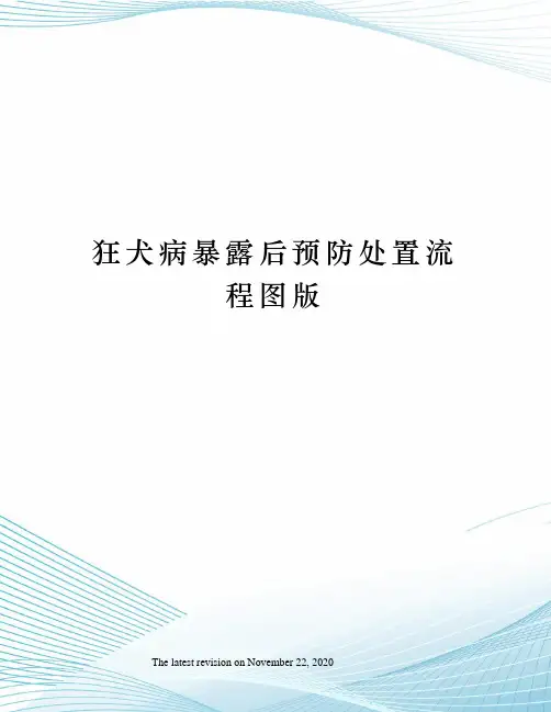 狂犬病暴露后预防处置流程图版