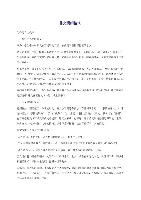 作文提纲格式 2