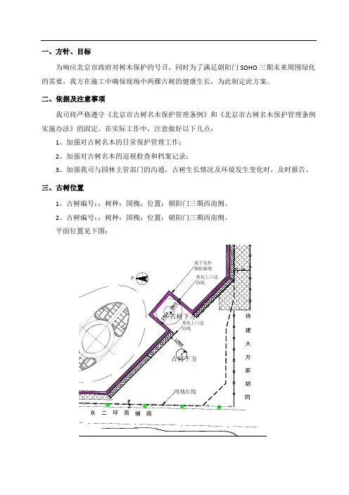 现场古树保护方案 (1)