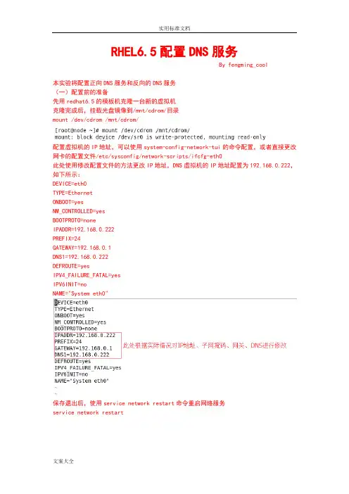 RHEL6.5配置DNS服务